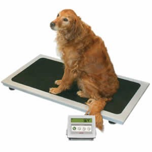 Medical/Health Scales